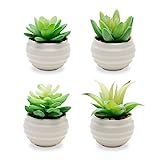 VIVERIE Little Green Artificial Succulent Plants Home Decor in White Ceramic Garden Pots (Set of 4) - Artificial & Dried Flora Home Decorative Accessories, Office Desk Decor, Bonsai, Fake Grass