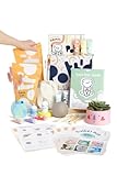 Pott'd™ Home Air-Dry Clay Pottery Kit for Beginners, Pottery Kit for Adults. Kit Includes: Air-Dry Clay for Adults, Tools, Paints, Brushes, Sealant, How-to-Guide, Gift - Pastel Paints