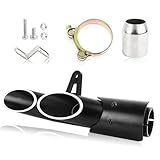 FLYPIG Two-Hole Aluminum Exhaust Muffler Pipe Kit with 38-51mm Clamp Fit for All Motorbikes with 51mm /2inch Exhaust