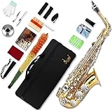 SLADE Saxophone Eb Alto Saxophone for Beginner Students, Saxaphone Adult, Saxophone Alto, Beginner Saxophone, Alto Saxaphone, Saxofon Alto, Saxophone, Gold & Silver