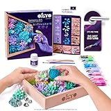 OKTO Art Kit Tenderness| Succulents Art Set 3D for Home Wall Decor | Craft Kits for Adults and Teen | Craft Box with Modeling Clay for Succulents Fun Stuff Hobbies Kits Succulent DIY Kits